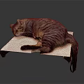 Striped Cat Lying Comfortably on White Platform Against Dark Background 3d model