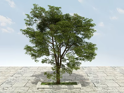 Lush Green Arbor With Thick Trunk On Stone Pavement And Square Flower Bed 3d model