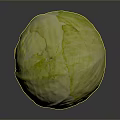 Fresh Green Whole Cabbage With Natural Texture On Dark Background 3d model