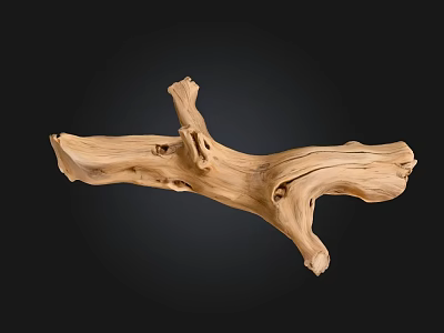 Natural Stone And Wood Decorative Driftwood With Unique Shape And Natural Texture On Black Background 3d model
