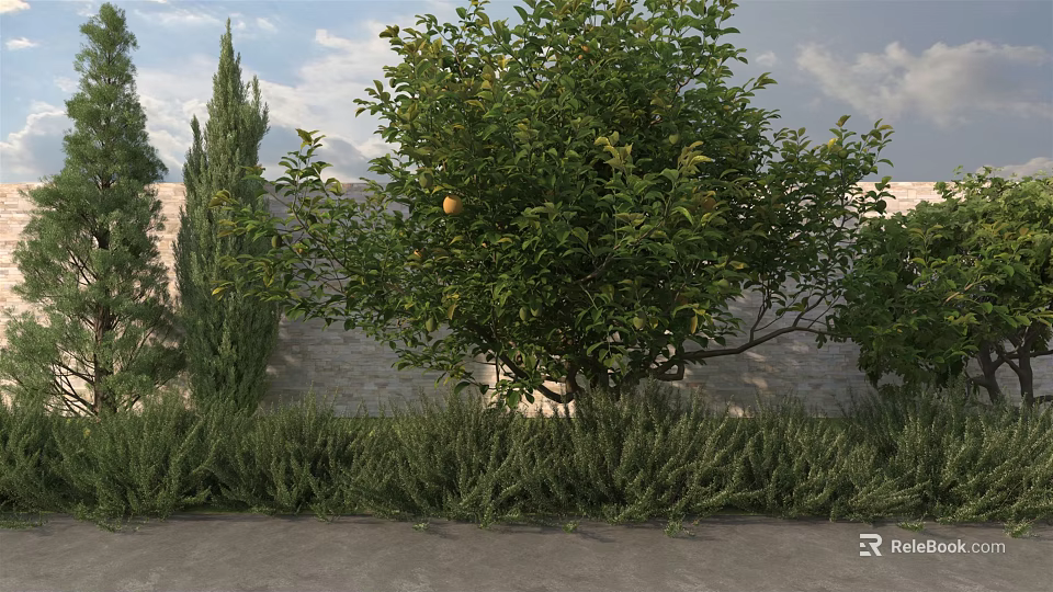 Lush Shrubs in Garden with Citrus Tree Bearing Orange Fruit Near Stone Wall and Cypress 3d model 