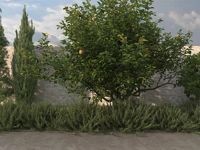 Lush Shrubs in Garden with Citrus Tree Bearing Orange Fruit Near Stone Wall and Cypress 3d model