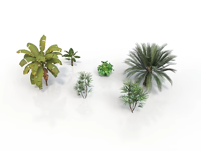 Various Tropical and Small Green Plants Including Palm and Banana Trees 3d model