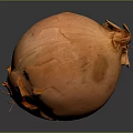 Fresh Orange Vegetable Onion Close Up View with Textured Skin on Dark Background