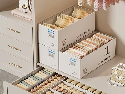 Neat Storage Solution For Daily Essentials With Drawers And Boxes 3d model