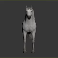 Realistic White Horse Animal Painting With Gray Mane And Dark Background