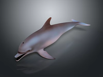 Realistic 3D Rendered Dolphin In Swimming Pose With Open Mouth And Smooth Skin 3d model