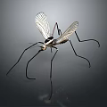 Detailed Mosquito With Transparent Wings Long Legs And Black White Body On Gray Background