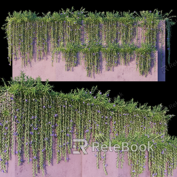 Plant Vine Plant Vine Grass Landscape Greening Wall Ivy model