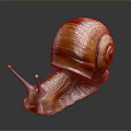 Glossy brown snail with orange striped shell and smooth body on dark reflective background