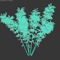 Clustered Bamboo Plants With Green Leaves And Slender Stems For Decoration
