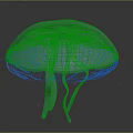 Light Blue Domed Jellyfish Floating With Transparent Delicate Tentacles On Dark Background 3d model