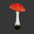 Red Mushroom With White Spots On Cap And White Stem Brown Base