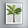 Botanical Plant Paintings With Monstera And Palm Leaves On Newspaper Background