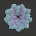 Vibrant Succulent Plant With Blue Pink Leaves In Brown Ceramic Pot