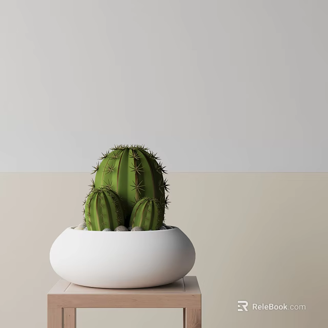 Cactus Bonsai Potted Plant in White Pot for Indoor Tabletop Decoration 3d model 