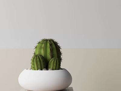 Cactus Bonsai Potted Plant in White Pot for Indoor Tabletop Decoration 3d model