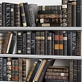 Vintage Bookcase With Organized Rows Of Classic Books And Decorative Spines