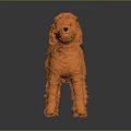 Orange Plush Toy Dog With Fluffy Fur In Standing Pose On Dark Background