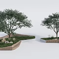 Modern Landscape Tree Pits Design With Trees Wooden Edges Grass And Stones