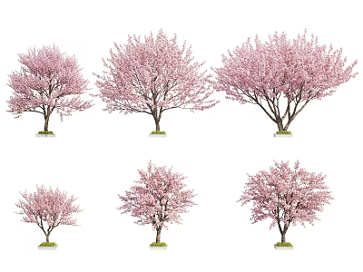 Tree Planter Design for Landscaping with Cherry Blossom Trees and Pink Flowers 3d model