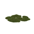 Lush Green Moss Clumps With Natural Shapes And Textured Surfaces For Garden
