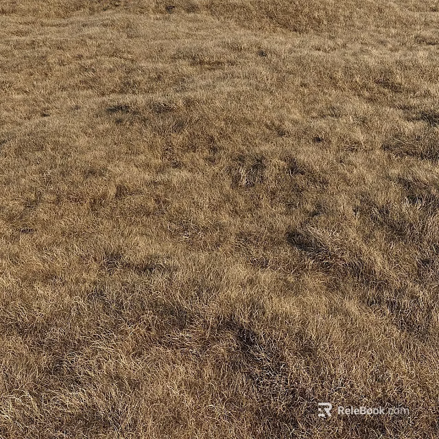 Dry Grass Garden Ornament With Natural Brown Turf And Textured Withered Landscape 3d model 