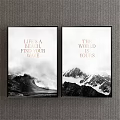 Two Framed Landscape Paintings With Ocean Wave And Snowy Mountain Scenes