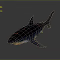 Realistic 3D Shark Marine Aquatic Animal Model With Dorsal Fin And Tail