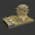 Decorative Succulent Plant in Square Container with Small Stones and Gravel