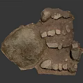 Natural Rocky Terrain With Irregular Rock Formations Scattered Stones And Uneven Surface