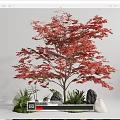 Tree Landscape Tree Red Maple Plant Pile 3d model