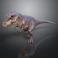 Realistic Tyrannosaurus Rex Dinosaur 3D Model With Detailed Texture And Standing Pose