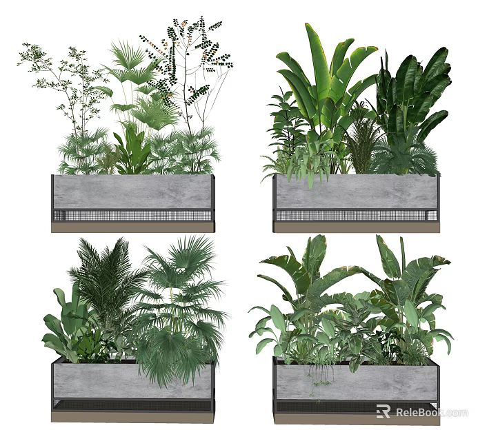 Potted Bonsai Plants In Grey Rectangular Planters With Various Green Foliage 3d model