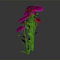 Vibrant Red And Purple Flowers With Green Stems And Leaves On Reflective Dark Surface