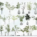 Collection of Flower Vases with Green Plants and Branches for Home Decor