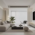 Modern Minimalist Living Room Interior With Gray Sofa Coffee Table And Floor Plant
