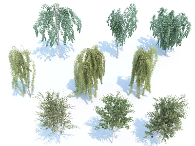 Various Arbor Trees with Green Foliage and Different Crown Shapes for Landscaping 3d model