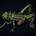 Mechanical grasshopper robot mechanical monster 3d model