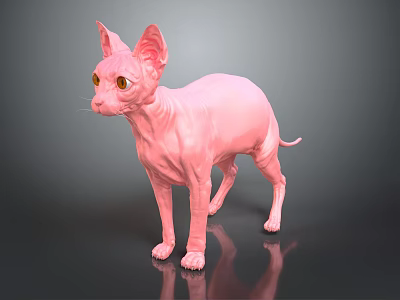 Pink Sphynx Cat Hairless Standing With Yellow Eyes And Smooth Skin On Gray Background 3d model