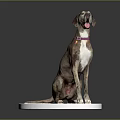 Sitting Dog With Pink Collar And Tag On White Circular Base Against Grey Background