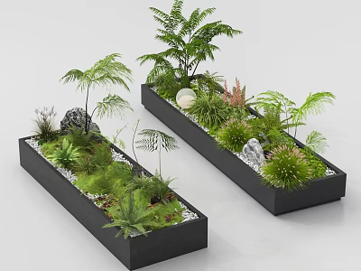 Garden Landscape Design in Rectangular Black Planters with Various Green Plants Stones and Fresh Ferns 3d model