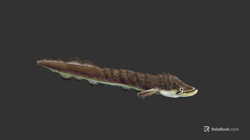 Prehistoric Marine Creature With Elongated Scaled Body And Brown White Coloration 3d model 