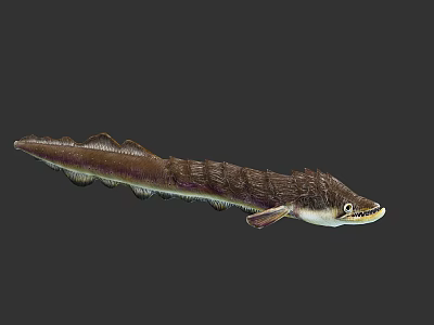 Prehistoric Marine Creature With Elongated Scaled Body And Brown White Coloration 3d model