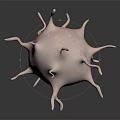 Detailed Microscopic Organ Structure With Hair Like Projections On Dark Background