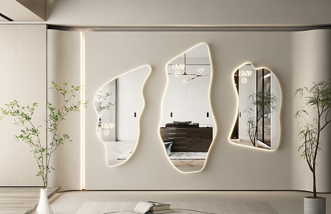 Modern Mirror Dressing Mirror Art Mirror Alien Mirror Floor Mirror Irregular Mirror Full-length Mirror 3d model