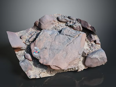 Wood and Stone Material Samples Featuring Varied Shapes Textures and Labels 3d model