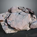 Wood and Stone Material Samples Featuring Varied Shapes Textures and Labels