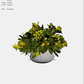 Bonsai Potted Plant With Vibrant Yellow Flowers And Lush Green Leaves In White Pot