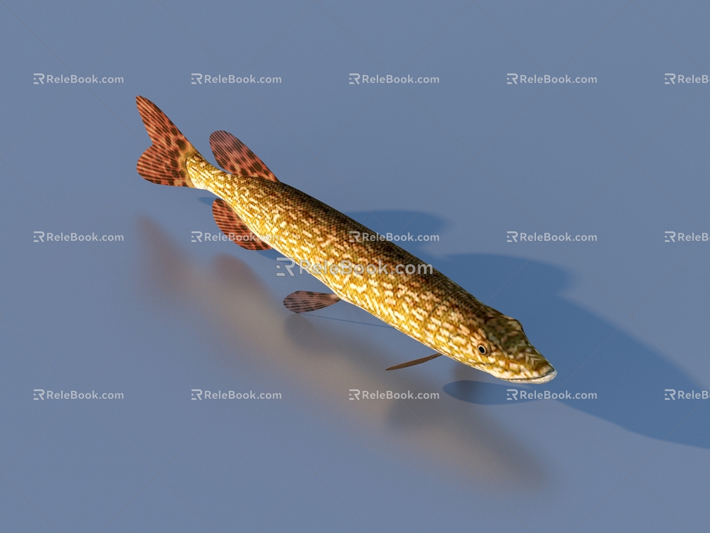 fish freshwater fish aquatic animal 3d model